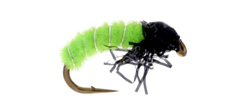 Cat's Caddis Larva - Chartreuse